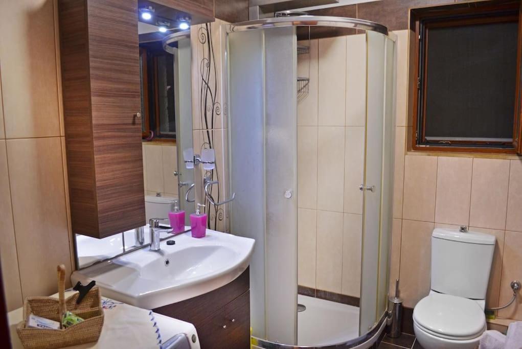 Apartamento Το Πετρινο - Καλοκαιρινό Σπίτι Κοντά Στα Σύβοτα - Φασκομηλια Faskomilia Exterior foto